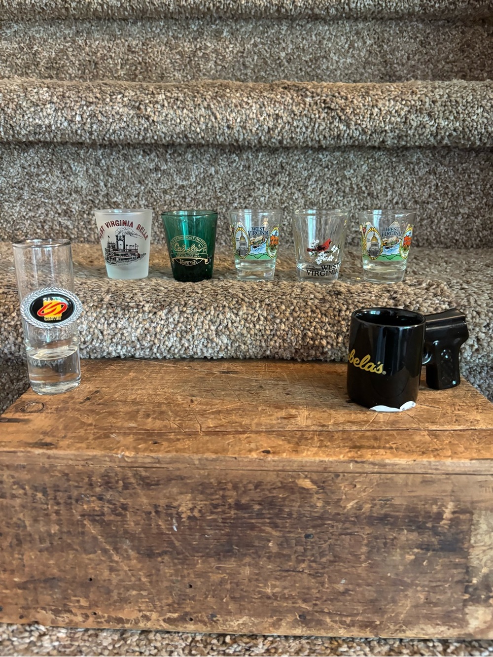 West Virginia shot glasses